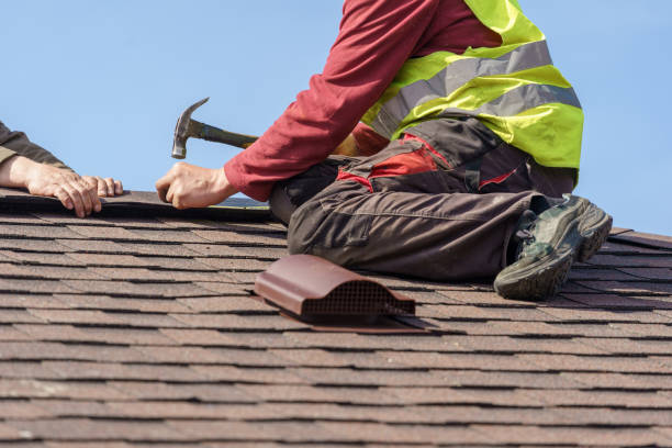 Best Roof Gutter Cleaning  in Scotts Hill, TN