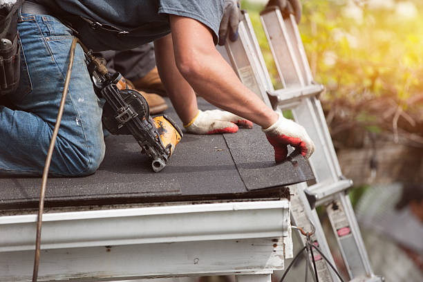 Roof Gutter Cleaning in Scotts Hill, TN