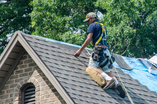 Best Local Roofing Companies  in Scotts Hill, TN